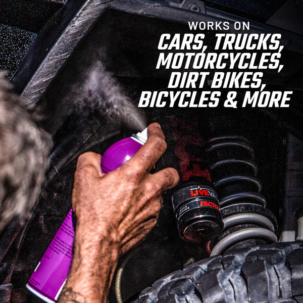 Slick Shine & Protectant