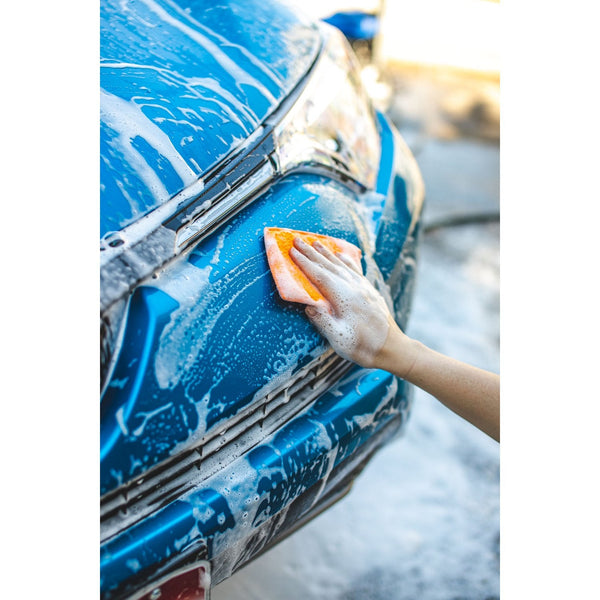TRC Jersey Bug Scrubber Pad Example